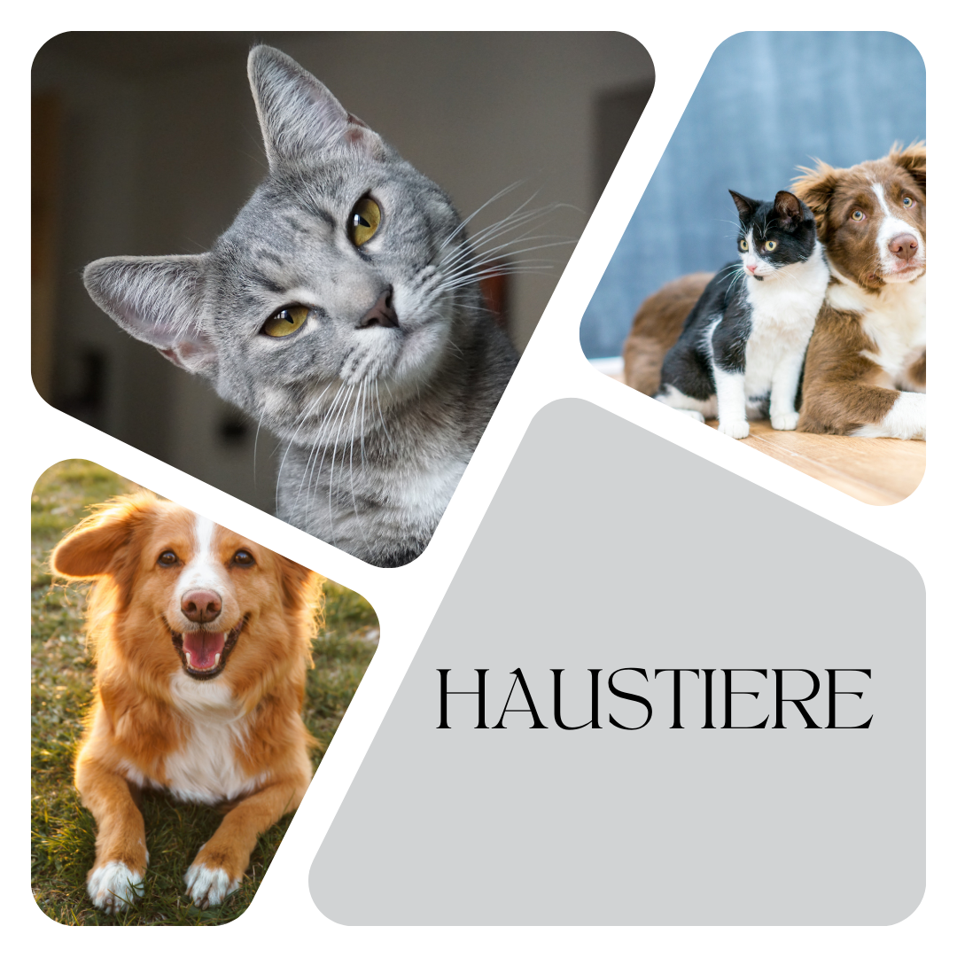 Haustiere